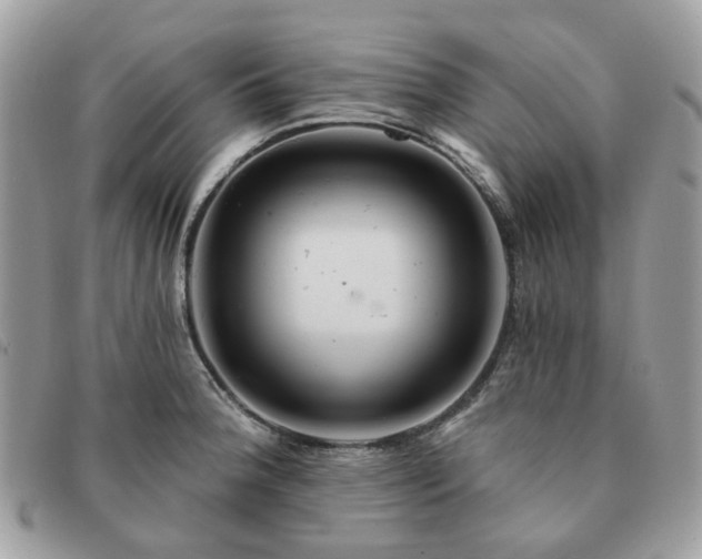 X0000091311188200708171408