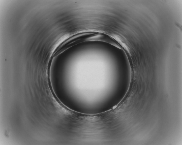 X0000091311189200708171408