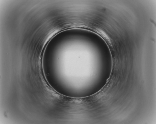 X0000091311190200708171408