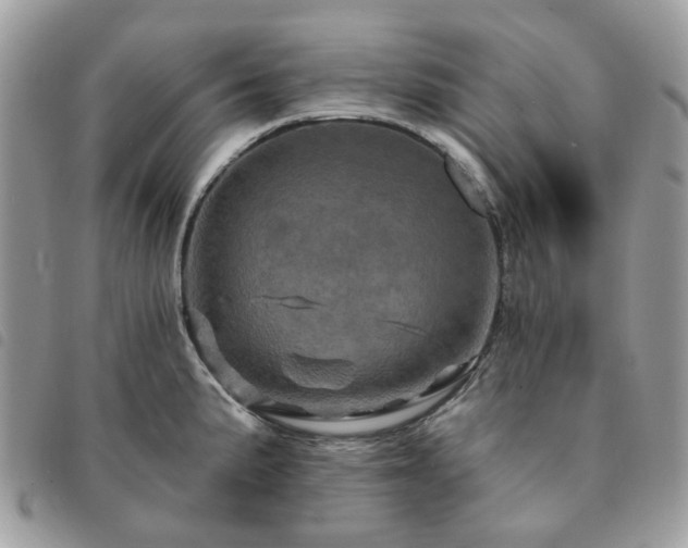 X0000091311191200708171408