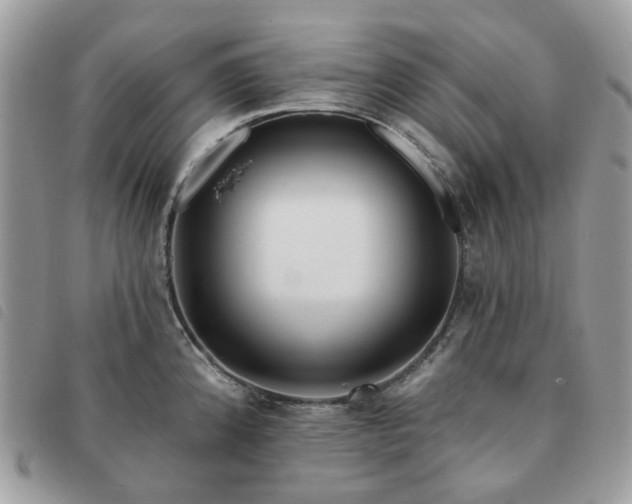 X0000091311192200708171408