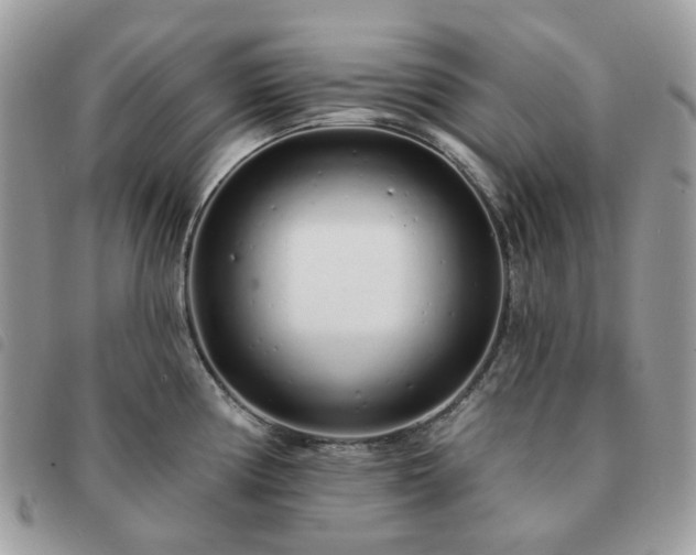 X0000091311194200708171408