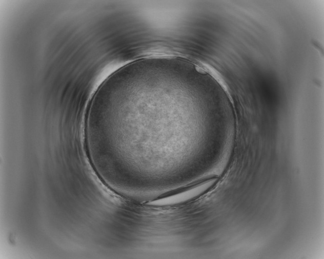 X0000091311195200708171408