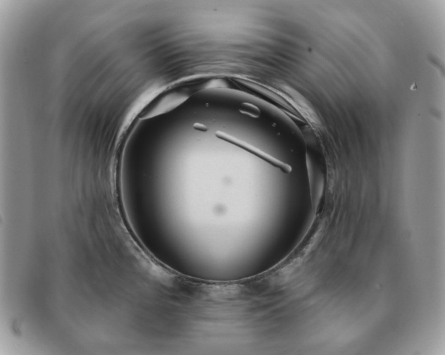 X0000091311196200708171408