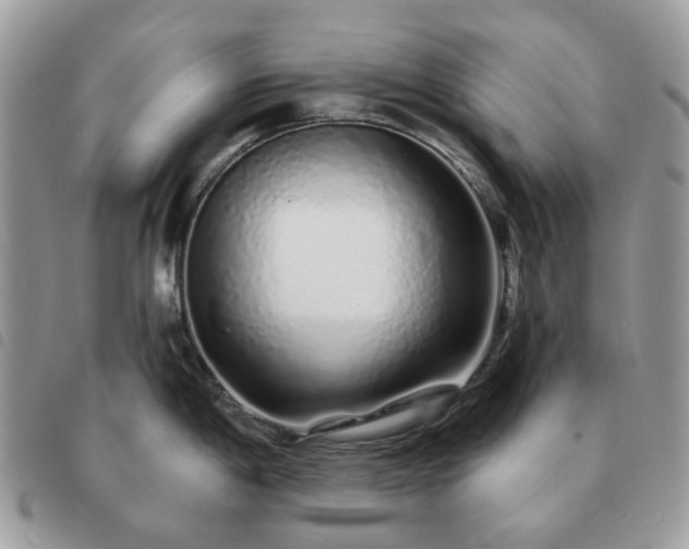 X0000091311198200708171408