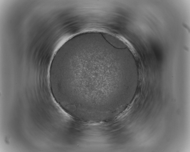 X0000091311199200708171408