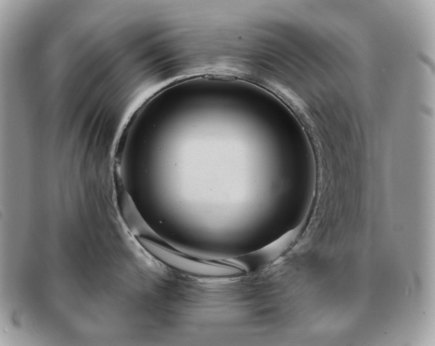 X0000091311200200708171408