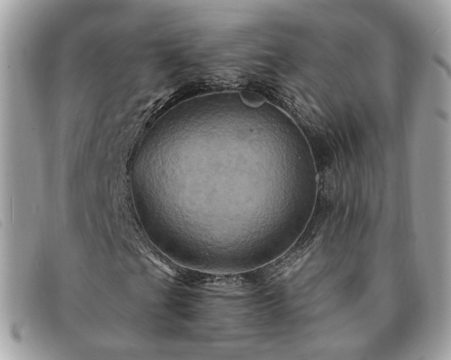 X0000091311201200708171407