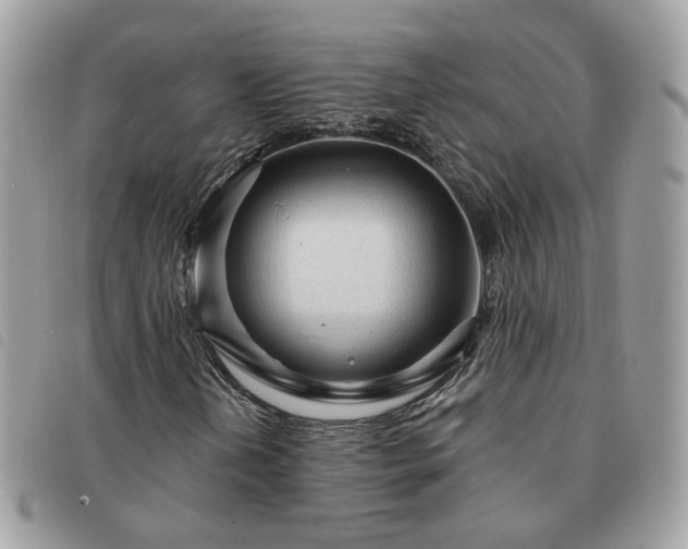 X0000091311202200708171407