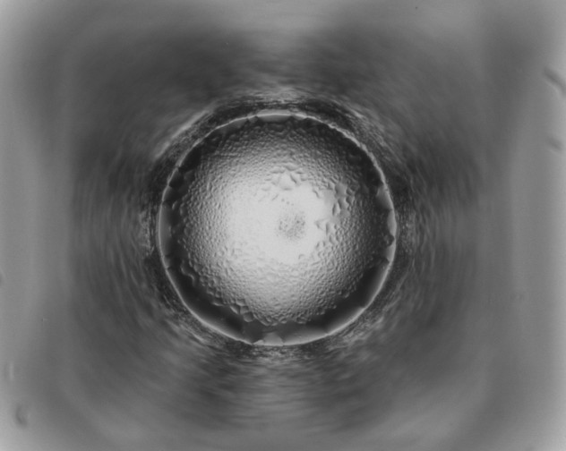 X0000091311205200708171407