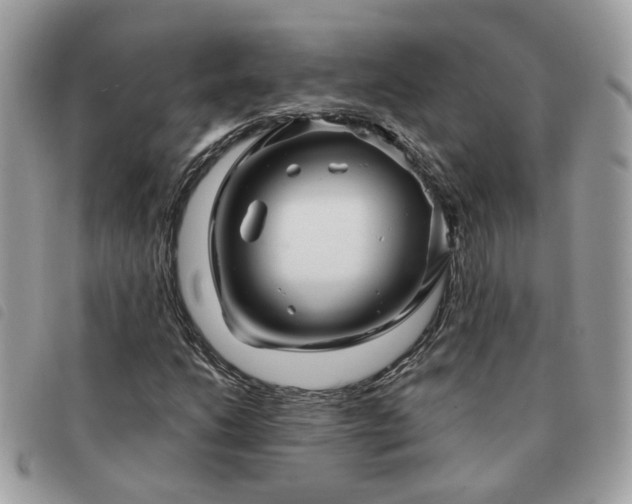 X0000091311206200708171407