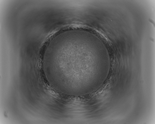 X0000091311207200708171407