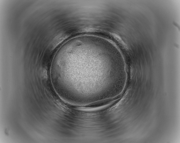 X0000091311209200708171407