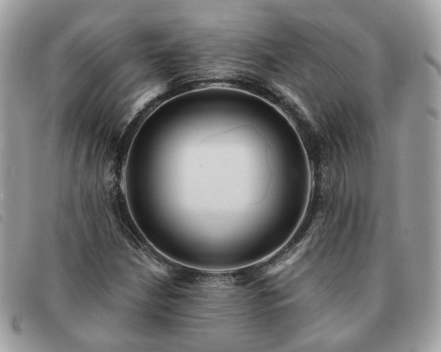 X0000091311210200708171407