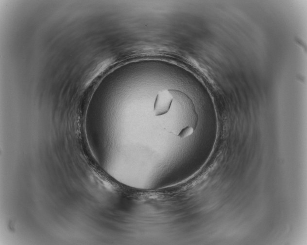 X0000091311211200708171407