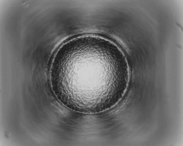 X0000091311212200708171407