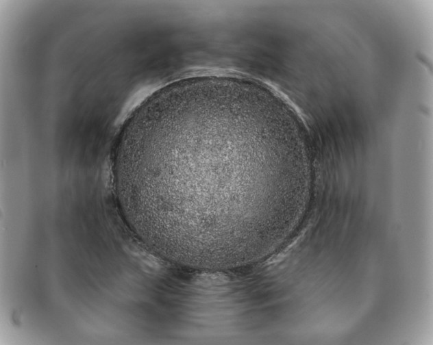 X0000091311215200708171408