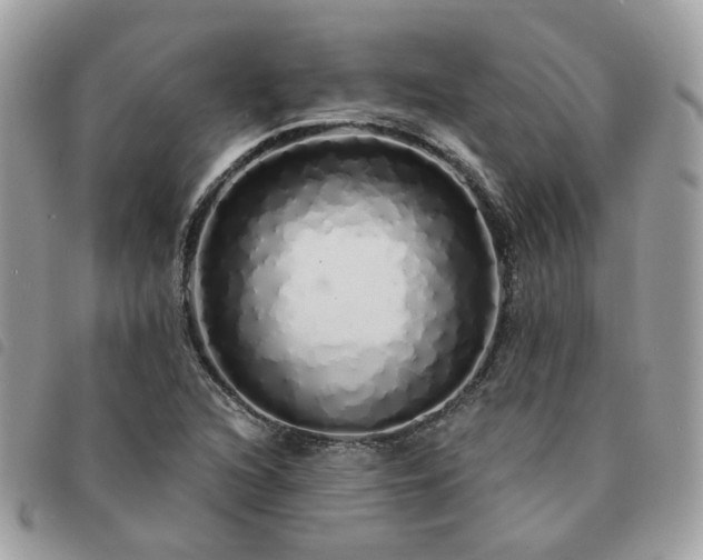 X0000091311216200708171408