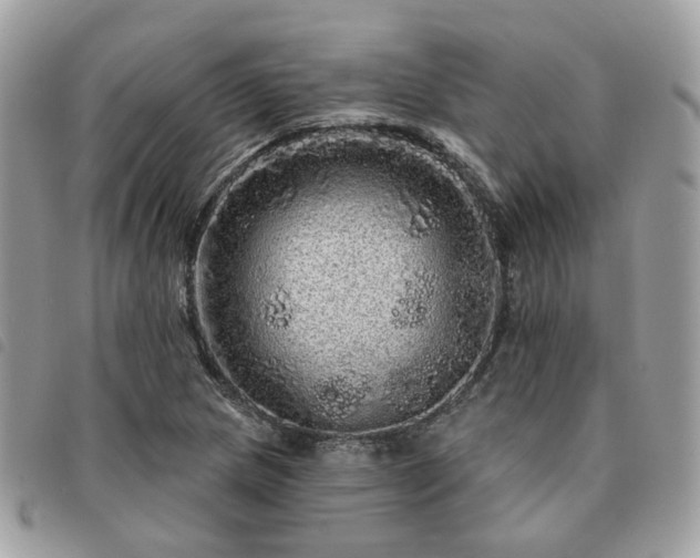 X0000091311217200708171408