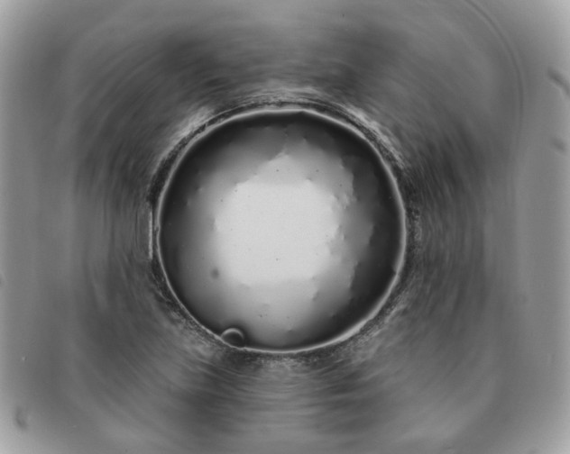 X0000091311219200708171408