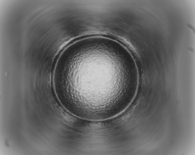 X0000091311220200708171408