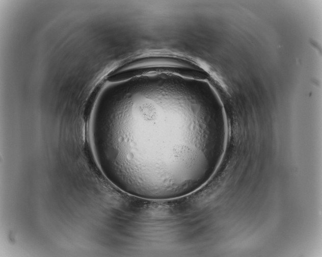 X0000091311221200708171408