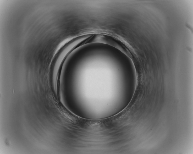 X0000091311222200708171408