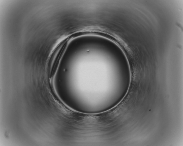 X0000091311224200708171408