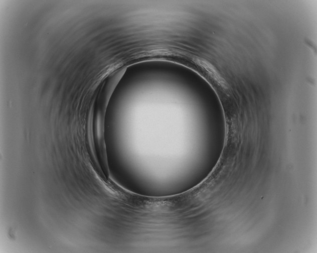 X0000091311225200708171408