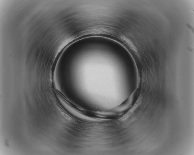 X0000091311226200708171408