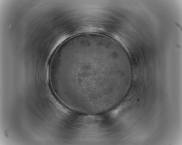 X0000091311227200708171408