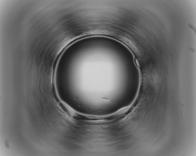 X0000091311228200708171408