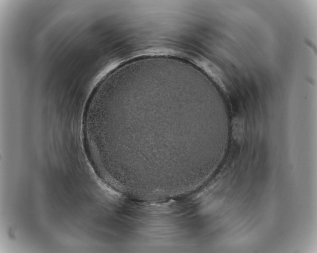 X0000091311229200708171408