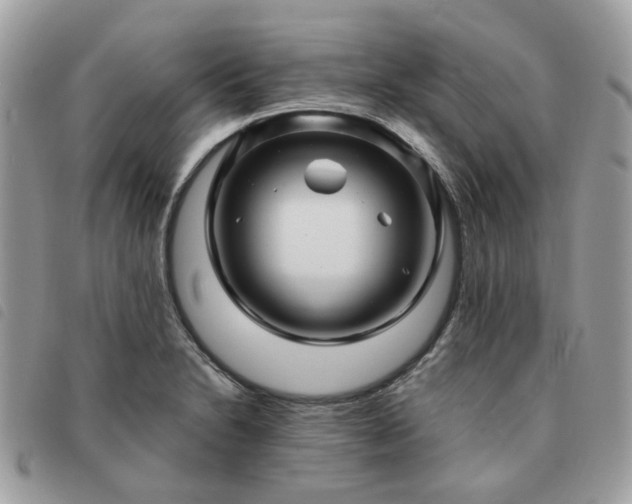 X0000091311230200708171408