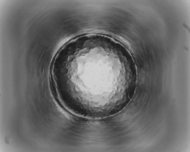 X0000091311231200708171408