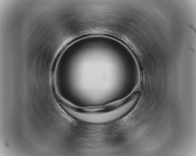 X0000091311232200708171408