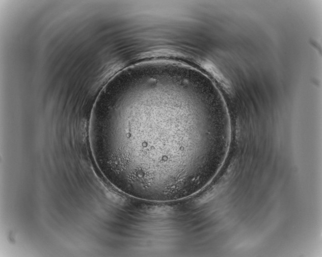 X0000091311233200708171408