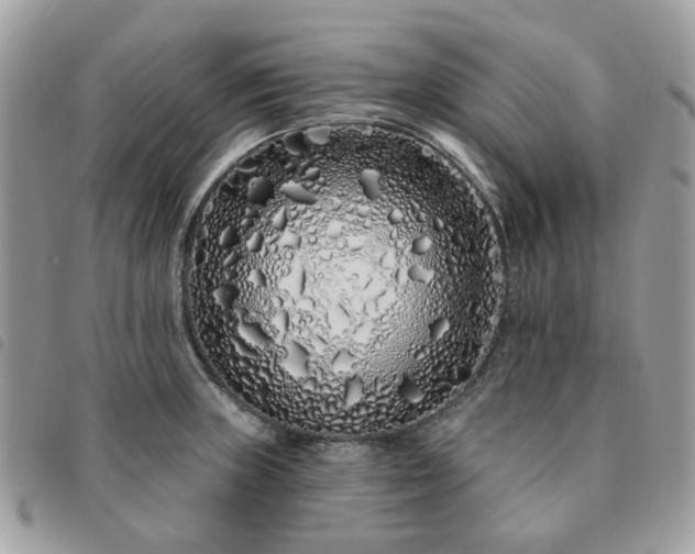 X0000091311235200708171408