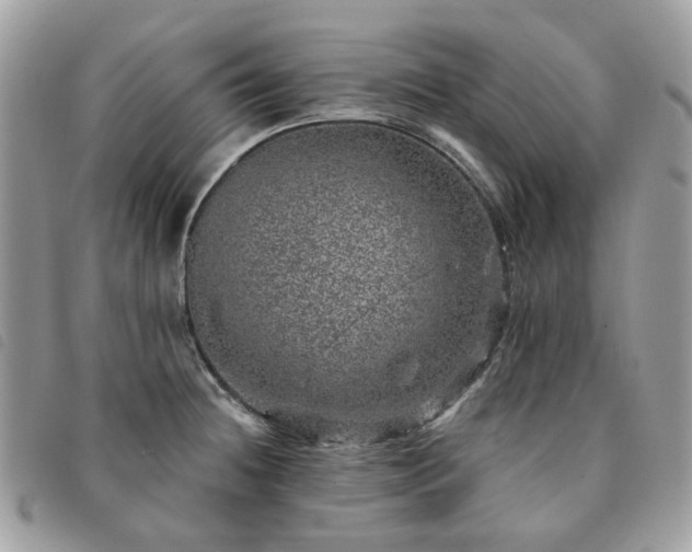 X0000091311236200708171408