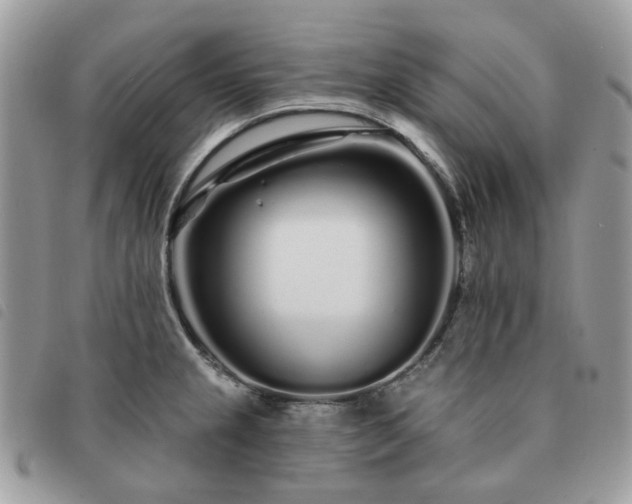 X0000091311237200708171408