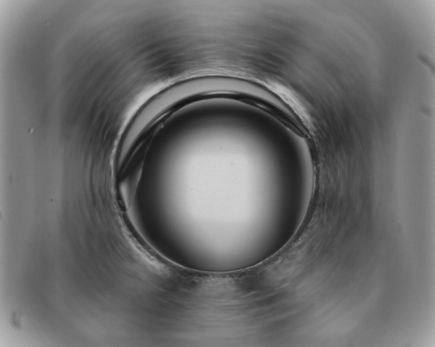 X0000091311238200708171408