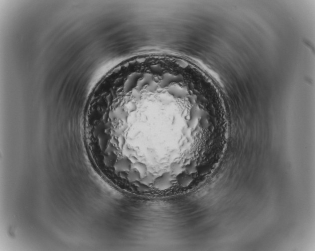 X0000091311239200708171408