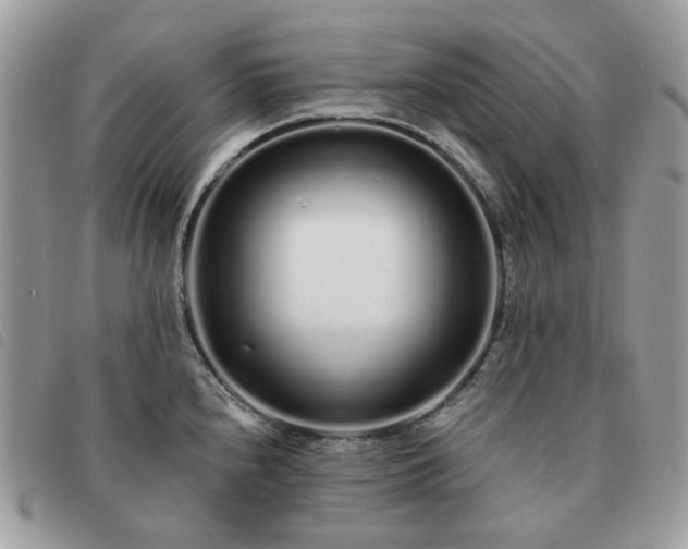 X0000091311240200708171408