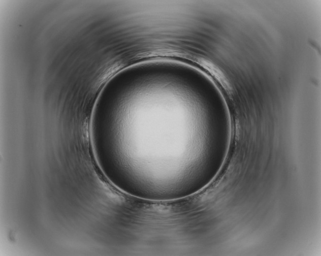 X0000091311241200708171408