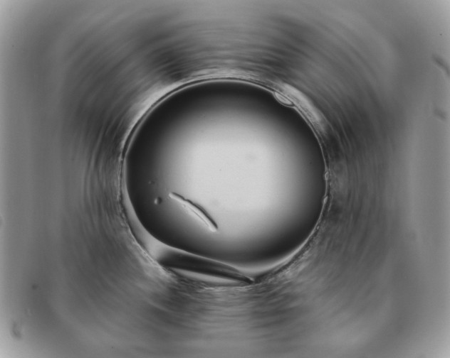 X0000091311244200708171408