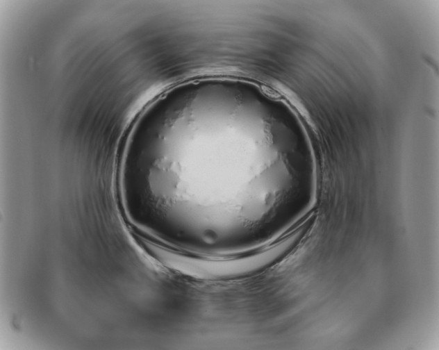 X0000091311245200708171408