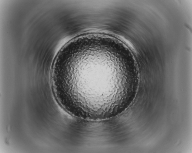 X0000091311247200708171408