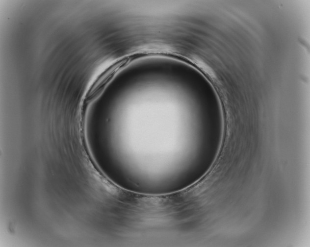 X0000091311248200708171408