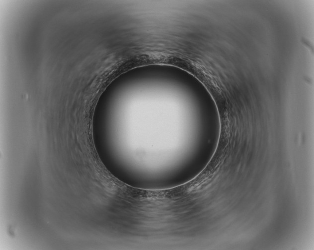 X0000091311249200708171407