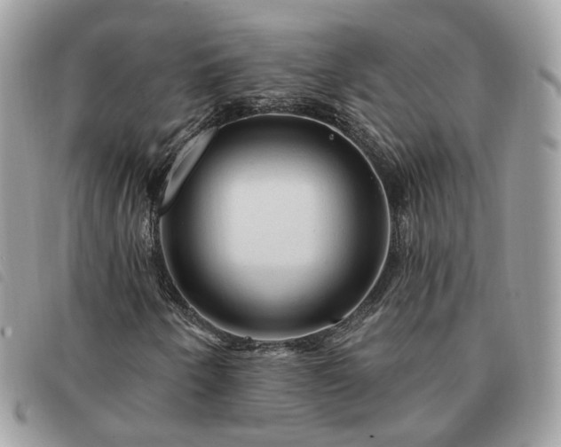 X0000091311250200708171407